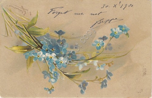 Cartolina - Postcard - Illustrata Klein - Innamorati - Forget …