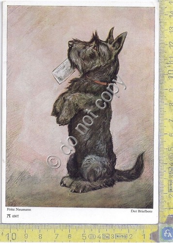 Cartolina - Postcard - Illustrata Neumann - dog - anni …