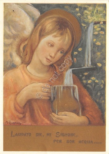 Cartolina - Postcard - Illustrata Zandrino - Cantico delle Creature …