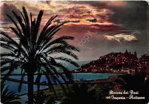 Cartolina - Postcard - Imperia - Notturno - 1960