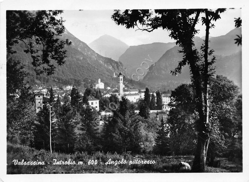 Cartolina - Postcard - Introbio Panorama - VG - 1951