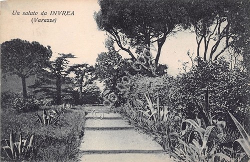 Cartolina - Postcard - Invrea - Varazze - Viale - …