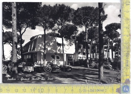 Cartolina - Postcard - Ischia - Grand Hotel dei Pini …
