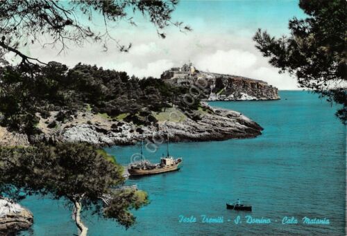 Cartolina - Postcard - Isole Tremiti - S. Domino - …