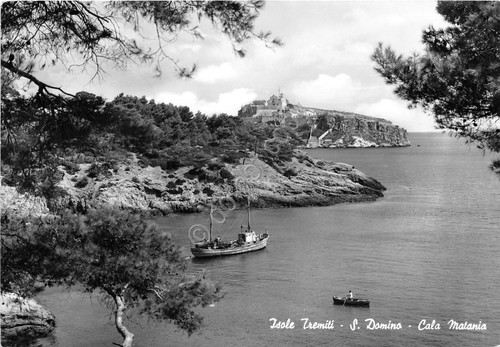 Cartolina - Postcard - Isole Tremiti - S. Domino - …