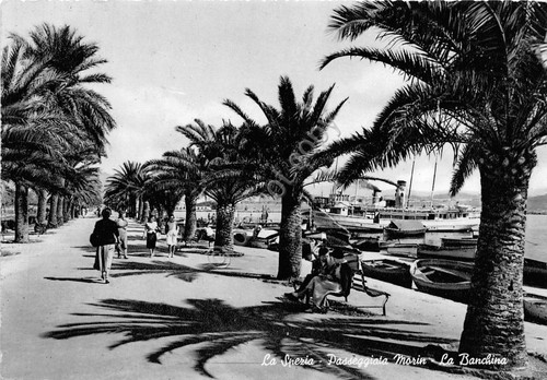 Cartolina - Postcard - La Spezia - Passeggiata Morin - …