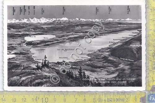 Cartolina - Postcard - Lacs de Neuchatel et Morat