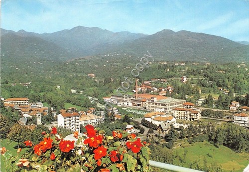 Cartolina - Postcard - Lanzo Torinese - Panorama - anni …