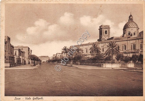 Cartolina - Postcard - Lecce - Viale Gallipoli - 1941