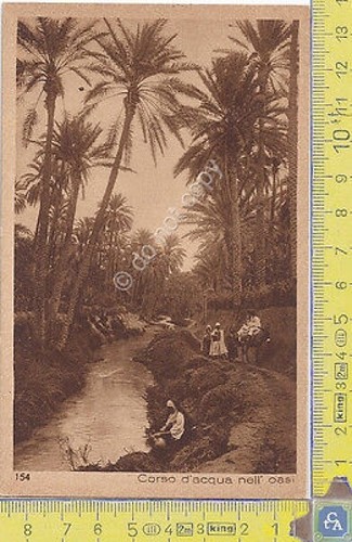 Cartolina - Postcard - Lehnert & Landrock - Africa - …