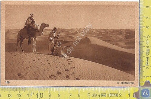 Cartolina - Postcard - Lehnert & Landrock - Africa - …