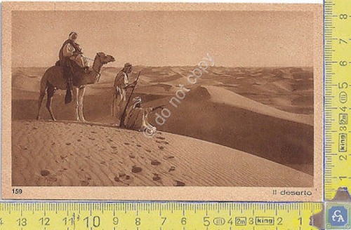 Cartolina - Postcard - Lehnert & Landrock - Africa - …