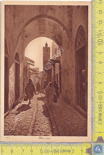 Cartolina - Postcard - Lehnert & Landrock - Africa - …