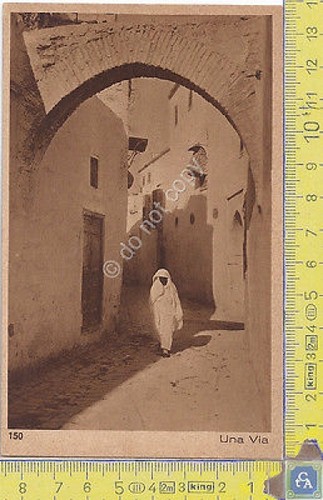 Cartolina - Postcard - Lehnert & Landrock - Africa - …