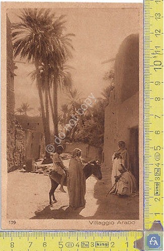 Cartolina - Postcard - Lehnert & Landrock - Africa - …