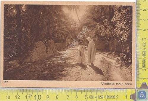 Cartolina - Postcard - Lehnert & Landrock - Africa - …