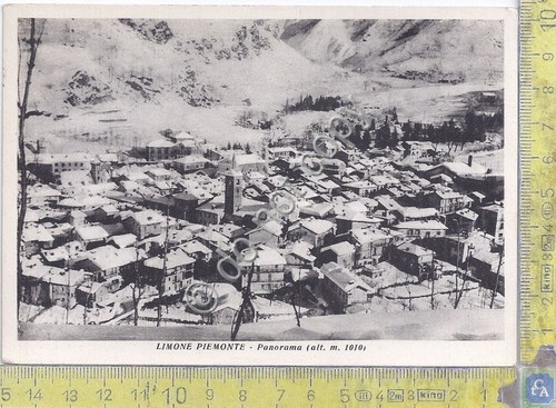 Cartolina - Postcard - Limone Piemonte- Panomara - anni '50