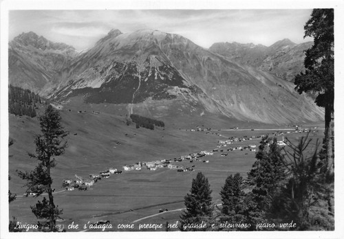Cartolina - Postcard - Livigno - Panorama dallìalto - anni …