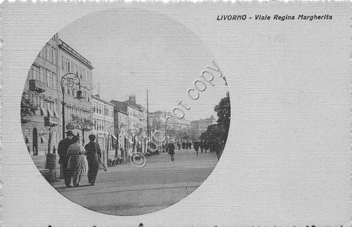 Cartolina - Postcard - Livorno - Viale Regina Margherita - …