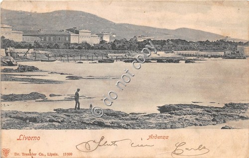 Cartolina - Postcard - Livorno Ardenza Animata