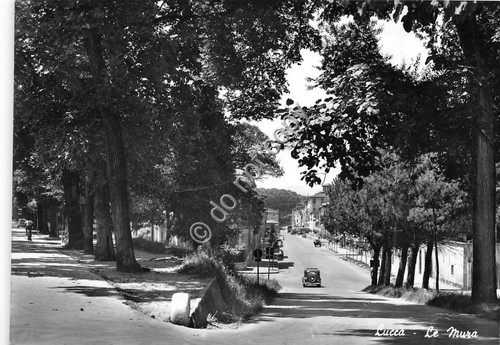 Cartolina - Postcard - Lucca - Le Mura - 1958