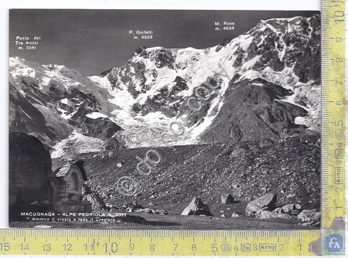 Cartolina - Postcard - Macugnaga - Alpe Pedriola - 1963