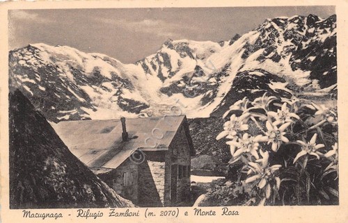 Cartolina - Postcard - Macugnaga - Rifugio Zamboni - Monte …