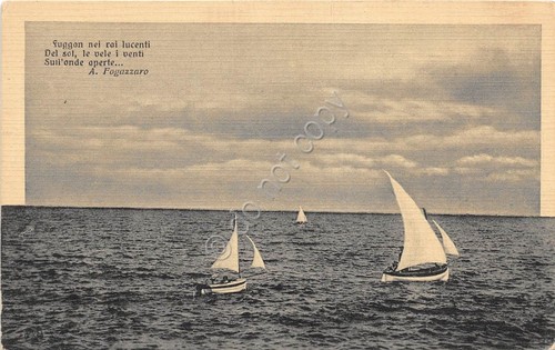 Cartolina - Postcard - mare e barche a vela - …