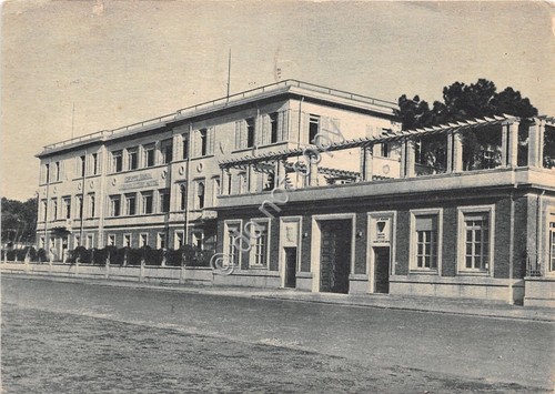 Cartolina - Postcard - Marina di Massa - Colonie Motta …