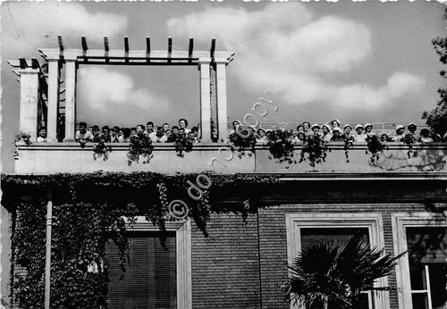 Cartolina - Postcard - Marina di Massa - Colonie Motta …