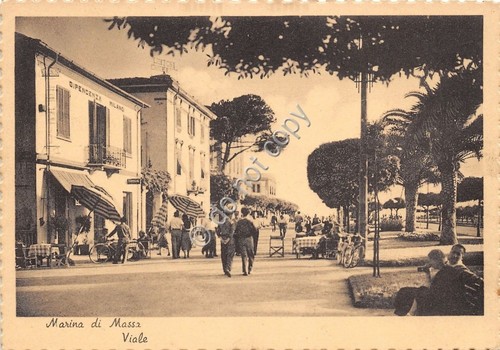 Cartolina - Postcard - Marina di Massa - Viale - …