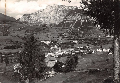 Cartolina - Postcard - Masi di Cavalese - Panorama - …