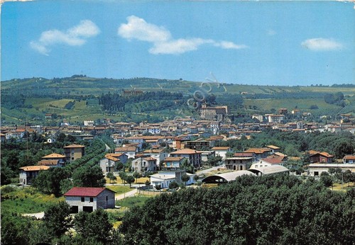 Cartolina - Postcard - Meldola - Panorama - 1974