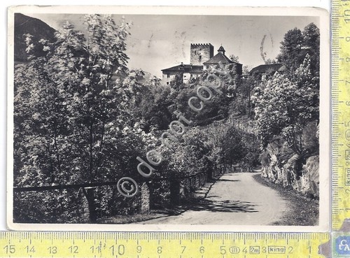 Cartolina - Postcard - Merano - Castel Torre - 1955