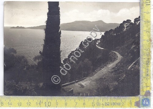 Cartolina - Postcard - Messina - Panorama - Strada Costiera …