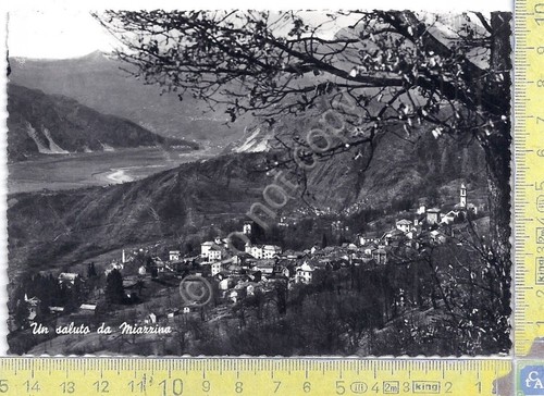 Cartolina - Postcard - Miazzina - Panorama - 1962