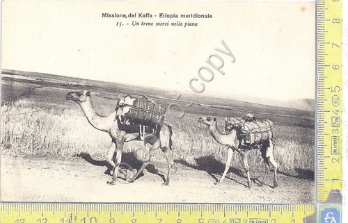 Cartolina - Postcard - Missione del Kaffa - Etiopia Meridionale …