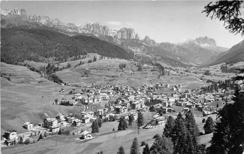 Cartolina - Postcard - Moena - Val di Fassa- 1957