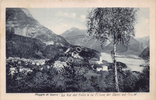 Cartolina - Postcard - Moggio di Sopra - Panorama - …