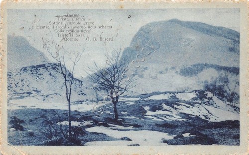 Cartolina - Postcard - Montagna - Poesia Busesti - 1921