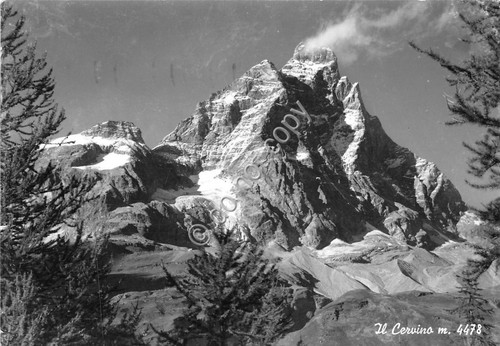 Cartolina - Postcard - Monte Cervino - 1965