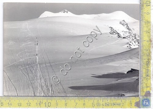 Cartolina - Postcard - Monte Cevedale - Discesa - anni …