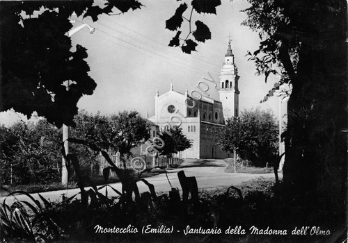 Cartolina - Postcard - Montecchio - Santuario della Madonna dell'Olmo …