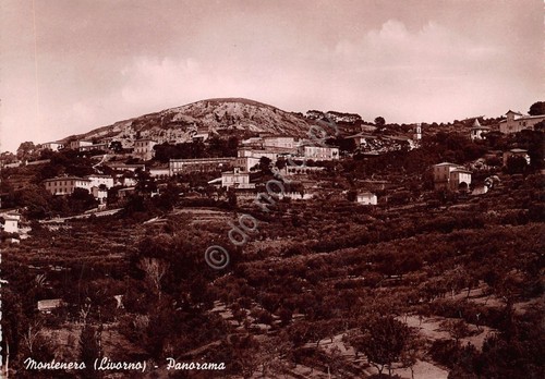 Cartolina - Postcard - Montenero - Panorama - 1951 - …