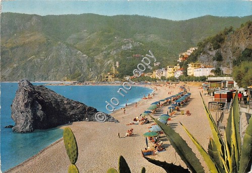 Cartolina - Postcard - Monterosso Spiaggia di Fegina NVG