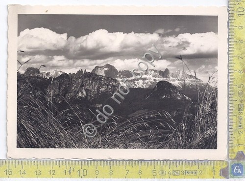 Cartolina - Postcard - Motivo sul Renon verso Calinaccio - …