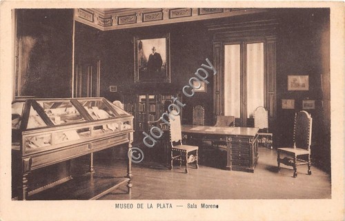 Cartolina - Postcard - Museo de la Plata - Sala …