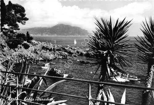 Cartolina - Postcard - Nervi - Panorama Golfo Paradiso - …