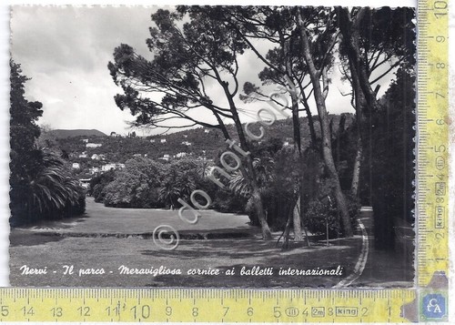 Cartolina - Postcard - Nervi - Parco - cornice ai …