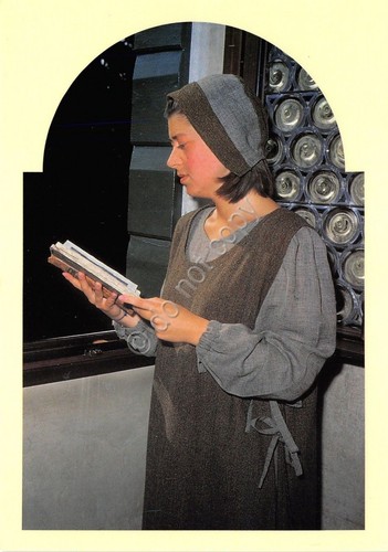 Cartolina - Postcard - Noale -Novalis - Contada del Gato …